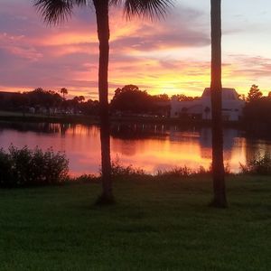 Meet your Posher, Malvina